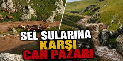 Kağızman'da Selde Mahsur Kalan Hayvanlar Kurtarıldı