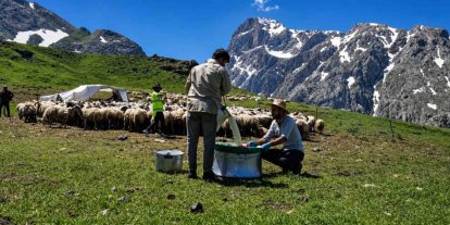 Zorlu yayla şartlarında tescilli lezzet üretiliyor