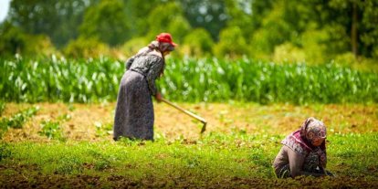 Kocaeli’de tarım ve hayvancılığa 7 yılda 1,5 milyar lirayı aşkın destek sağlandı