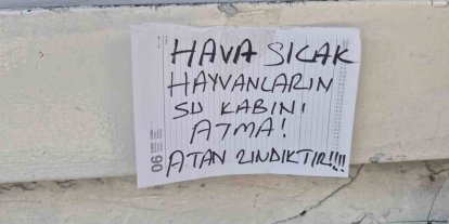 Sokak hayvanlarının su kabını atanlara ilginç tepki: "Atan zındıktır"