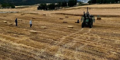 Sinop’ta yılın ilk buğdayları hasat edildi