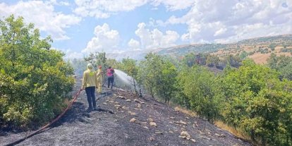 Bingöl’de orman yangını büyümeden söndürüldü
