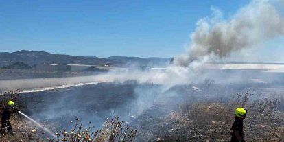 Burhaniye’de işletme bahçesindeki yangın itfaiye ekiplerince söndürüldü