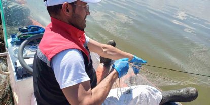 Çorum’da 3 bin 100 metre hayalet ağ ele geçirildi