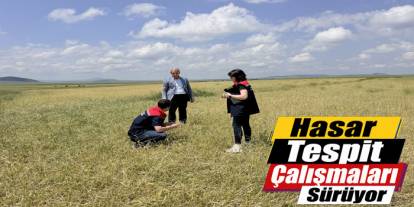 Kars'ta Dolu ve Fırtına Sonrası Hasar Tespit Çalışmaları Başladı