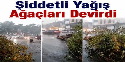 Kars’ta Şiddetli Yağış Ağaçları Devirdi
