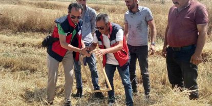 Tavşanlı’da biçerdöver kontrolleri sürüyor