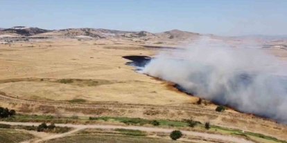 Arazi yangını etrafı küle çevirdi