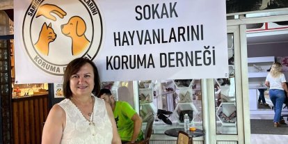 Sarıgöl’de sahipsiz hayvanlara umut oluyorlar