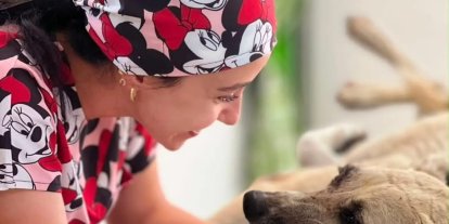 Gözüne bağ çubuğu saplanan köpek yeniden hayata tutundu