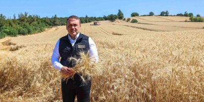 Bilecik’te bu yıl 335 bin dekar alanda 167 bin 500 ton buğday üretimi bekleniyor