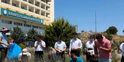 Lavanta kokulu okulda hasat heyecanı yaşandı