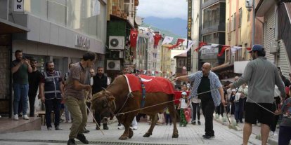 "Kafkasör Festivali" boğalı kortej yürüyüşüyle başladı