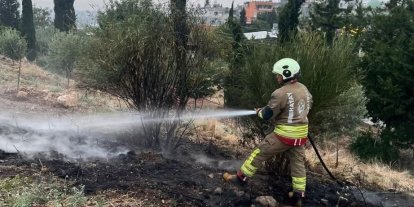 İskenderun’da otluk alan yangını