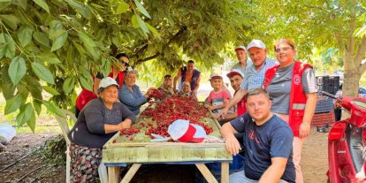 Bayındırlı gençler kiraz hasadına katıldı, üreticilere destek verdi