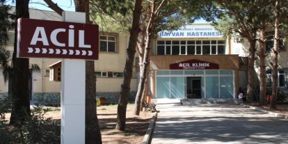 ADÜ Hayvan Hastanesi’nde online randevu dönemi başladı
