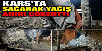 Kars'ta sağanak yağış ahırı çökertti