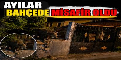 Sarıkamış’ta bu kez roller değişti: Vatandaş dışarıda bekledi, ayılar bahçede misafir oldu