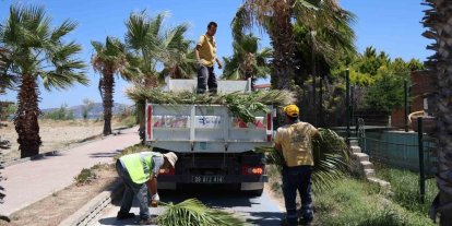 Kuşadası’nda yeşil alanlarda kapsamlı bakım ve düzenleme çalışması