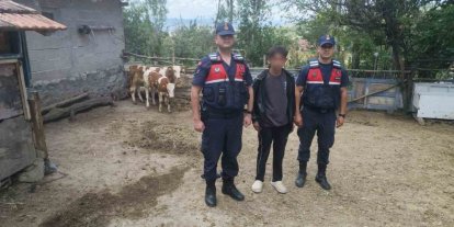 Hayvanlarını kaybeden çiftçinin yardımına Jandarma ekipleri koştu