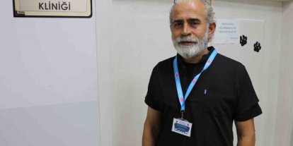 Kangal, çoban gelene kadar kırsalda doğan kuzuya kendi yavrusu gibi sahip çıktı