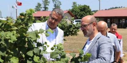 Samsun’da tarımsal üretim çalışmaları yerinde incelendi