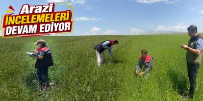 Kars’ta Yem Bitkileri Tespit Çalışmaları Sürüyor