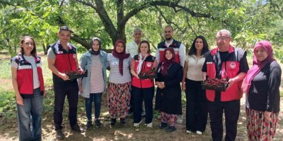 Kütahya’da organik tarım ve iyi tarım projeleri masaya yatırıldı