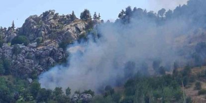 Alanya’da zirai alanda çıkan yangın söndürüldü