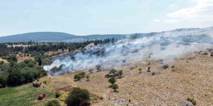 Menteşe’deki makilik yangını kontrol altına alındı