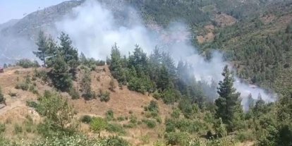 Adana’da orman yangını