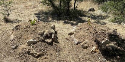 Kiraz yedikten sonra zehirlenerek öldükleri iddia edilen çift yan yana toprağa verildi