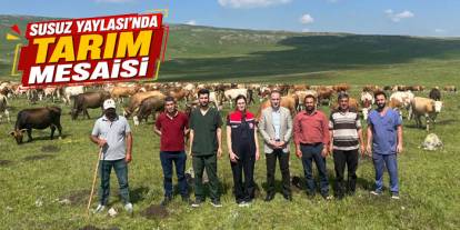 Kars'ta 2 Bin 500 Rakımlı Yaylada Üretim Mesaisi
