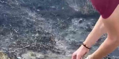 Alevlerin arasından kurtardıkları kaplumbağayı serinlettiler