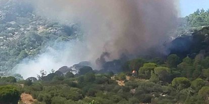 Muğla’da orman yangını