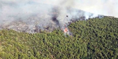 Milas yangınına havadan ve karadan müdahale sürüyor