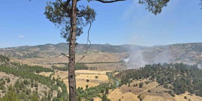 Dursunbey’de orman yangını