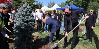 10. yılda 10 yetişkin ağaç toprakla buluştu