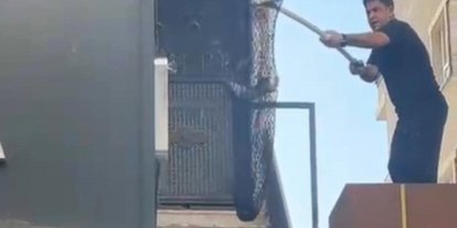 Batman’da metruk binada kilitli kalan 5 yavru kedi kurtarıldı