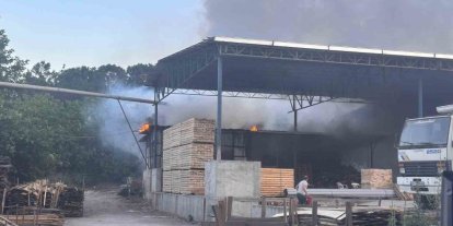 Kereste işletmesinde korkutan yangın