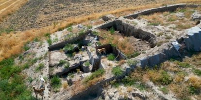 Milattan Önce 2000’li yıllara ait kazı alanı sokak köpeklerinin meskeni haline geldi