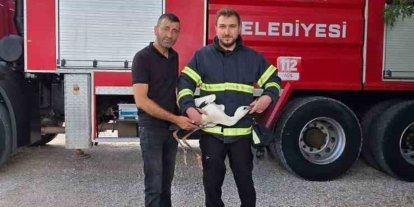 Yuvasında mahsur kalan leyleği itfaiye kurtardı