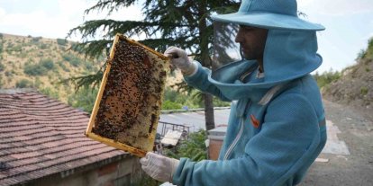Bin 200 çeşit endemik bitki türüyle 4 kuşaktır süren gelenek: Kanyon balında 4 tonluk rekolte