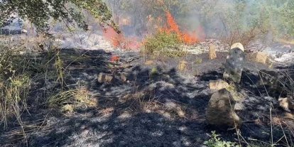 Bitlis’te peş peşe çıkan yangınlar paniğe neden oldu