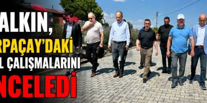 AK Parti Kars Milletvekili Adem Çalkın, Arpaçay’daki Yol Çalışmalarını İnceledi