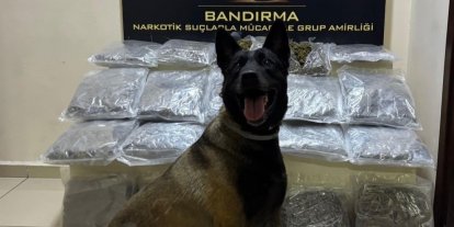 Bandırma’da gübre torbalarının altına gizlenen 11,2 kilo skunk ele geçirildi