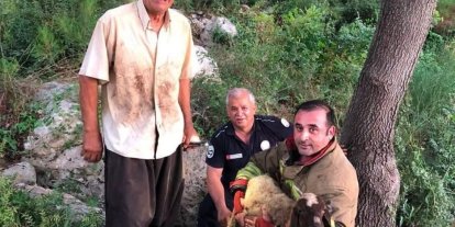 İskenderun’da dereye düşen koyun itfaiye ekiplerince kurtarıldı