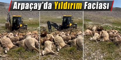 Arpaçay’da Yıldırım Faciası: 26 Koyun Telef Oldu