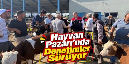 Selim Hayvan Pazarı’nda Denetimler Aralıksız Sürüyor