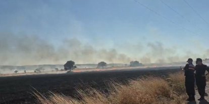 Seyitgazi’de çıkan yangın 3 köyün ovalarına yayıldı, ormana doğru ilerliyor